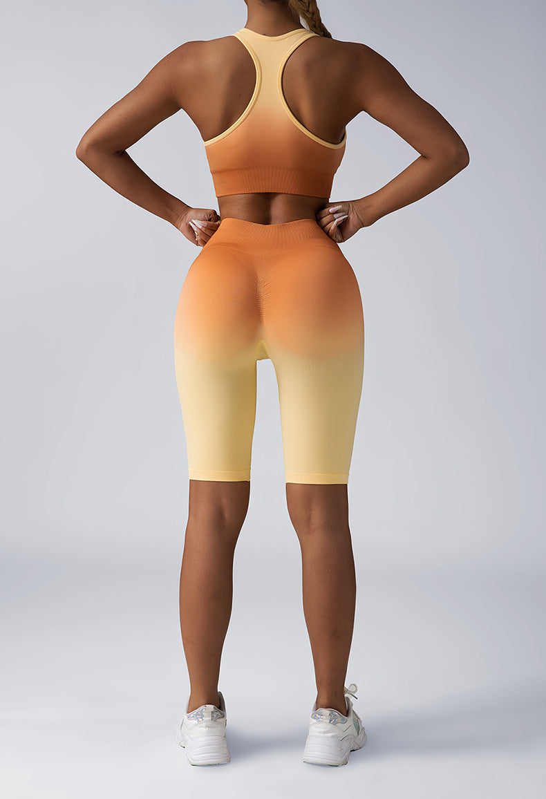 Women 2 Piece Seamless High Waist Yoga Leggings Sets
